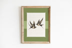 Swallow Birds Green Vintage Art Print