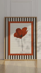 Red Poppy Flowers